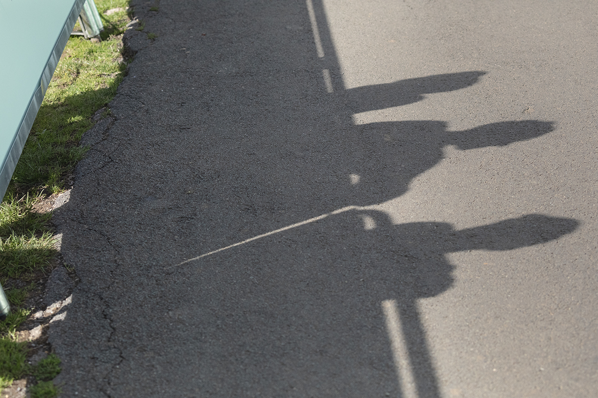 Tour of Britain 2025 - Fans cast shadows on the road at Burton Dassett