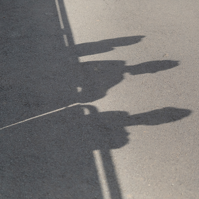 Tour of Britain 2025 - Fans cast shadows on the road at Burton Dassett