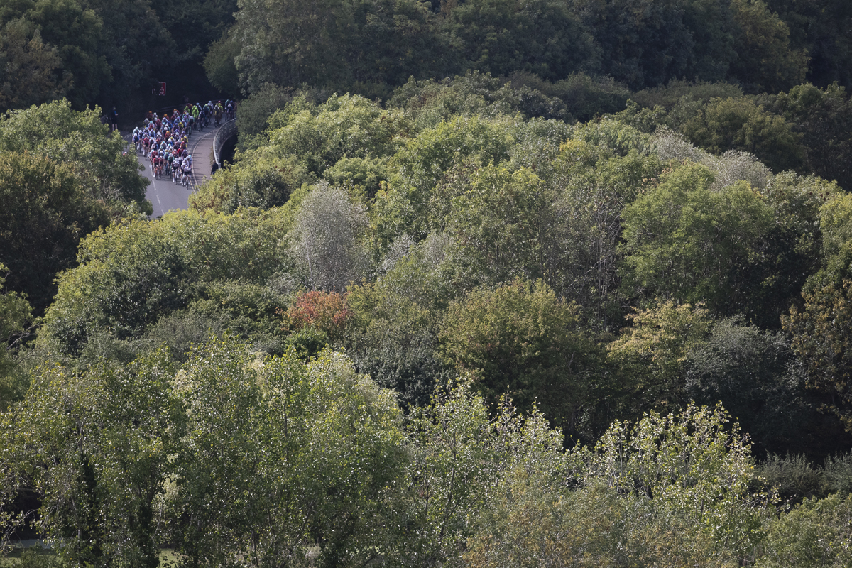 Tour of Britain 2025 - Riders approach through the trees near Burton Dassett