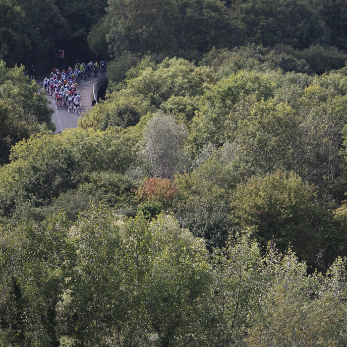 Tour of Britain 2025 - Riders approach through the trees near Burton Dassett