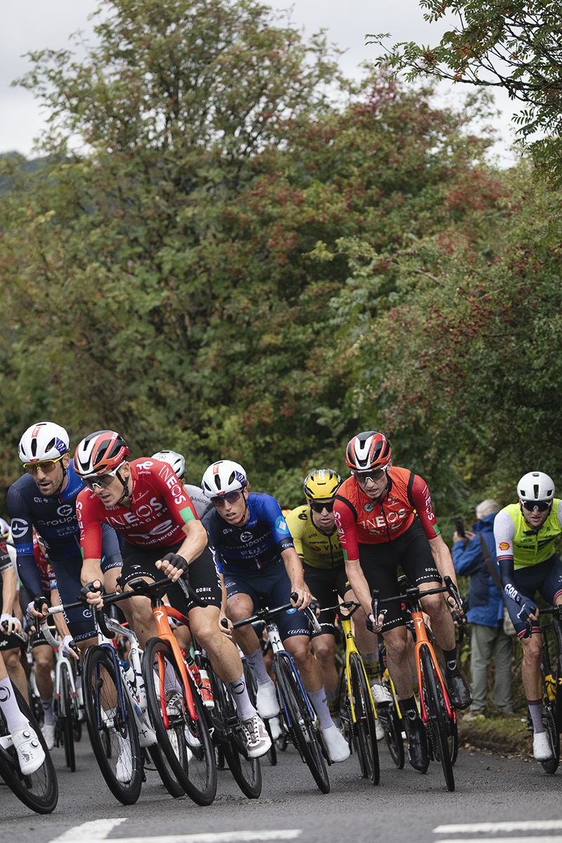 Tour of Britain 2025 - The peloton crests a hill and begins to round a corner, berries on the trees behind
