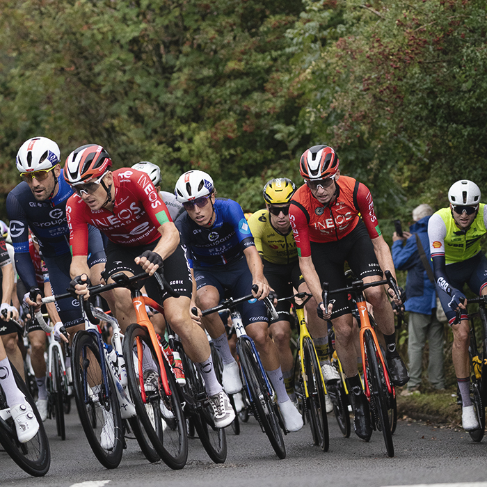 Tour of Britain 2025 - The peloton crests a hill and begins to round a corner, berries on the trees behind
