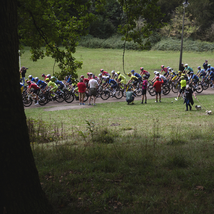 Tour of Britain 2025 - Fans watch the peloton as dog walkers pass by in Pontypool Park