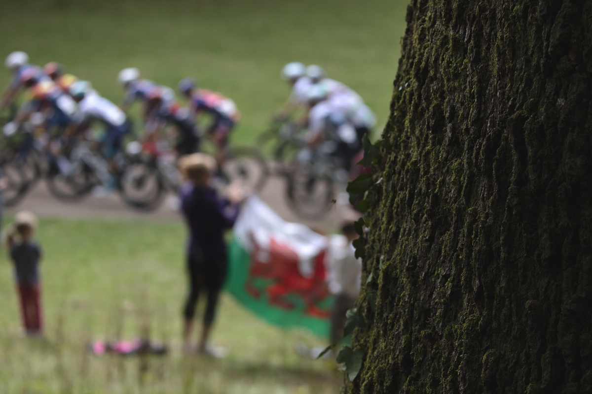 Tour of Britain 2025 - A Welsh flag is waved at riders as seen from behind a mature tree in Pontypool Park