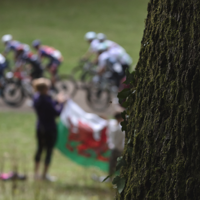 Tour of Britain 2025 - A Welsh flag is waved at riders as seen from behind a mature tree in Pontypool Park