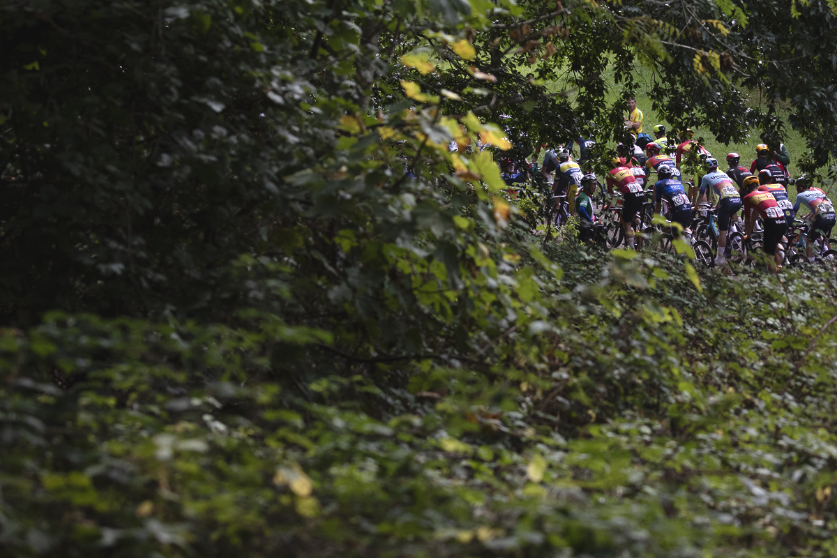 Tour of Britain 2025 - Riders seen through the foliage in Pontypool Park