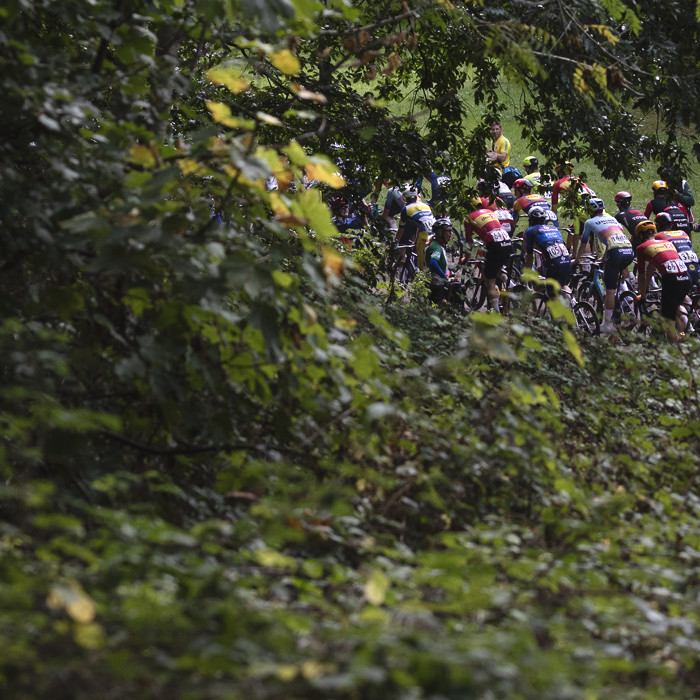 Tour of Britain 2025 - Riders seen through the foliage in Pontypool Park