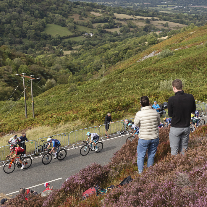 Tour of Britain 2025 - Spectators on the heather filled hillside watch the race with a view over the Usk Valley