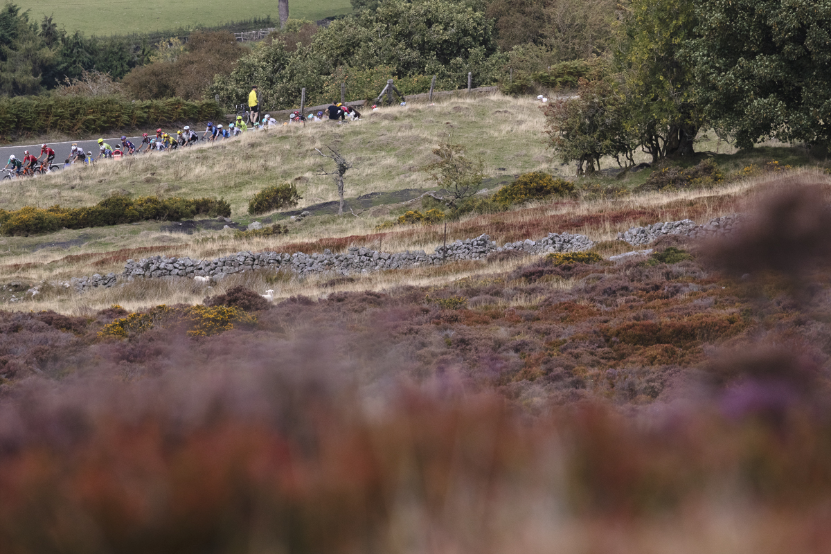 Tour of Britain 2025 - The race can be seen across a sea of purple heather