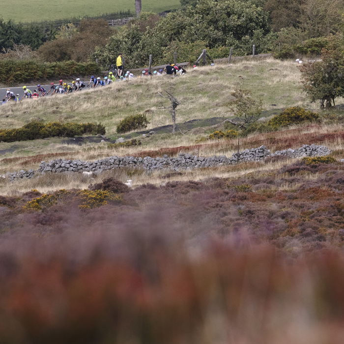 Tour of Britain 2025 - The race can be seen across a sea of purple heather