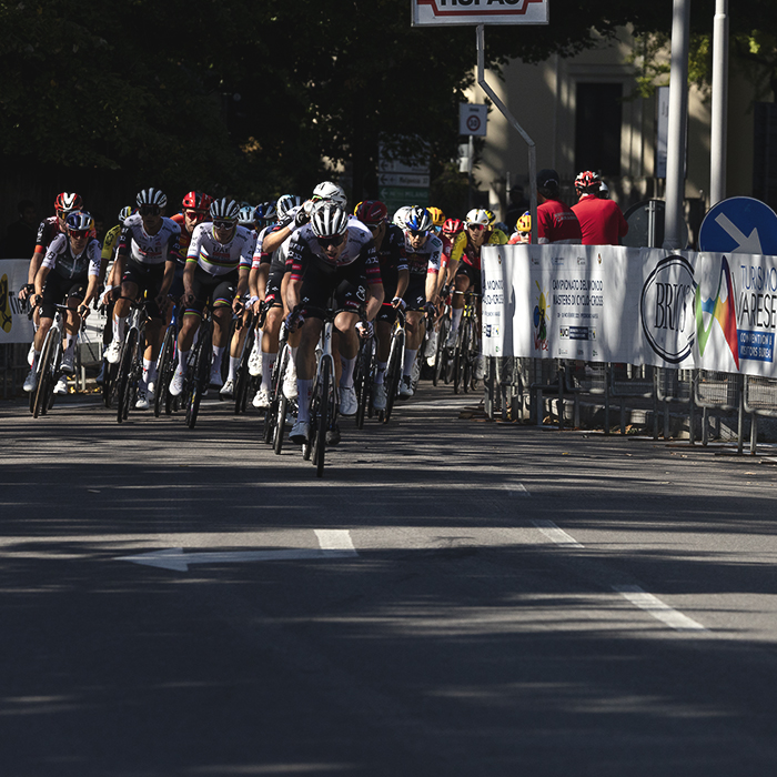 Tre Valli Varesine 2025 - The peloton races down the final straight on the loop in Varese