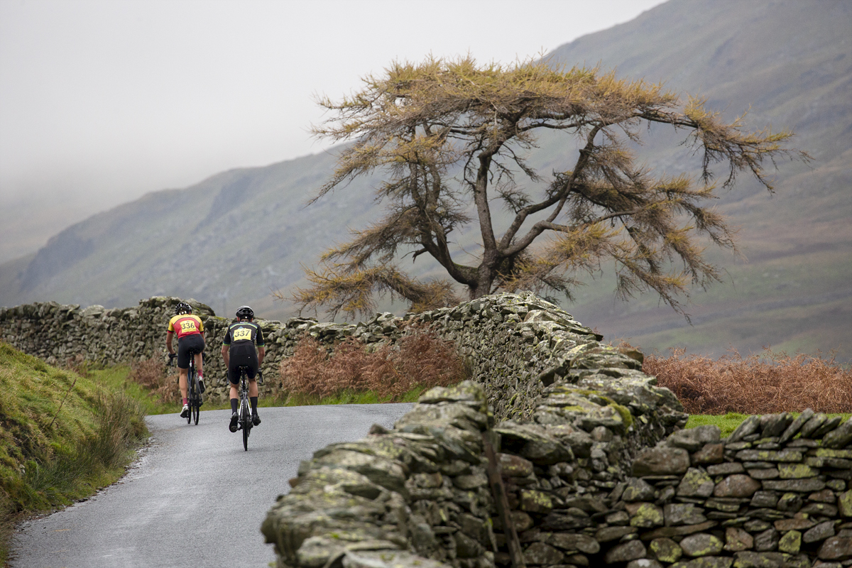 UK National Hill Climb Championships 2023 - Thomas Hall & Callum Spencer pass by a Scotts Pine Tree in autumnal colours